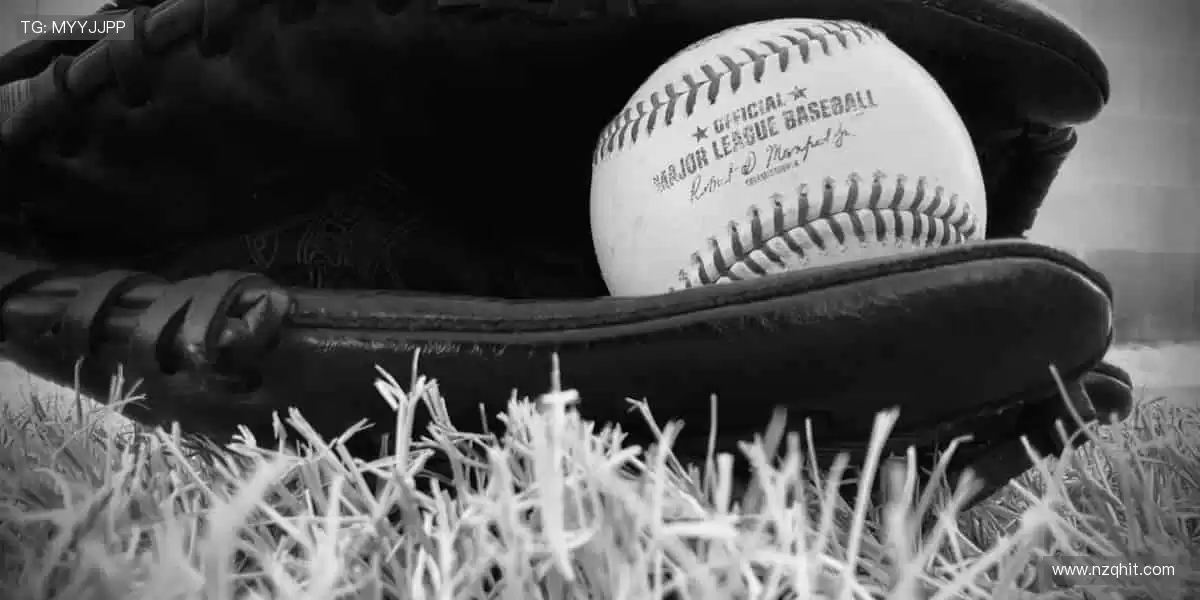 专业装备，轻松掌控赛场！🎾 品质与潮流，为你的热爱加冕！